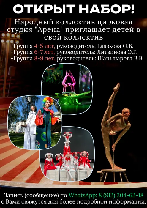 в народный коллектив цирковая студия